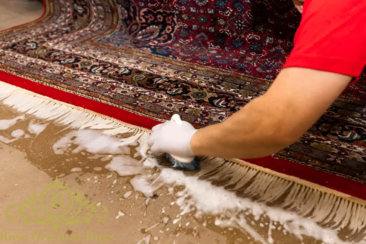top 5 rug cleaning services_ Albany