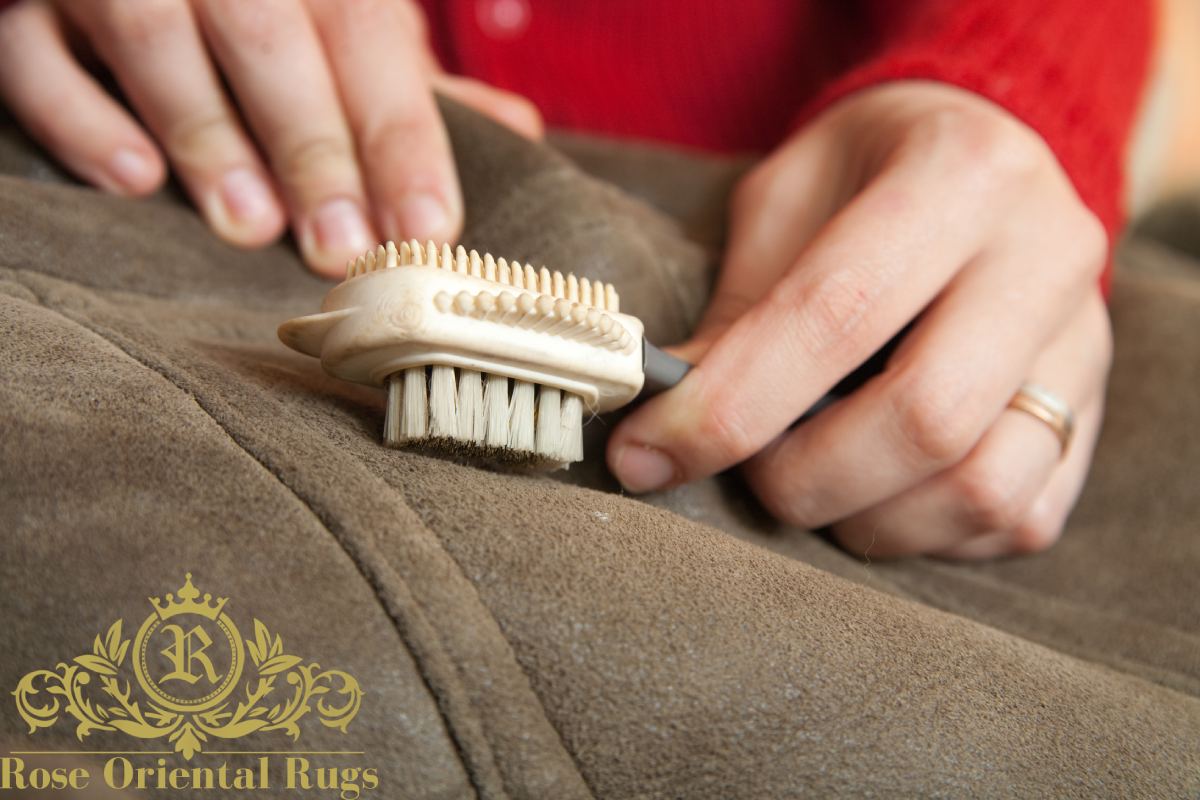 top 5 rug cleaning services in Albany