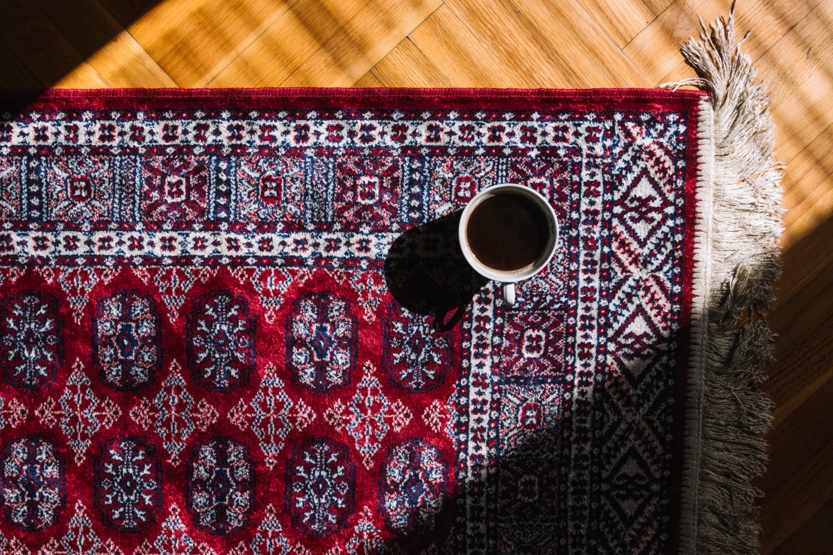 Professional technician cleaning a Persian rug in Berkeley using specialized equipment to remove dirt, stains, and allergens while preserving delicate fibers.